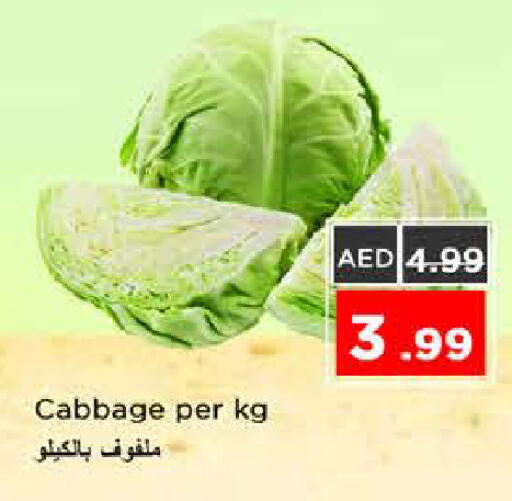 Cabbage available at نستو هايبرماركت in الإمارات العربية المتحدة , الامارات - الشارقة / عجمان