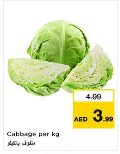 Cabbage available at لاست تشانس in الإمارات العربية المتحدة , الامارات - ٱلْفُجَيْرَة‎