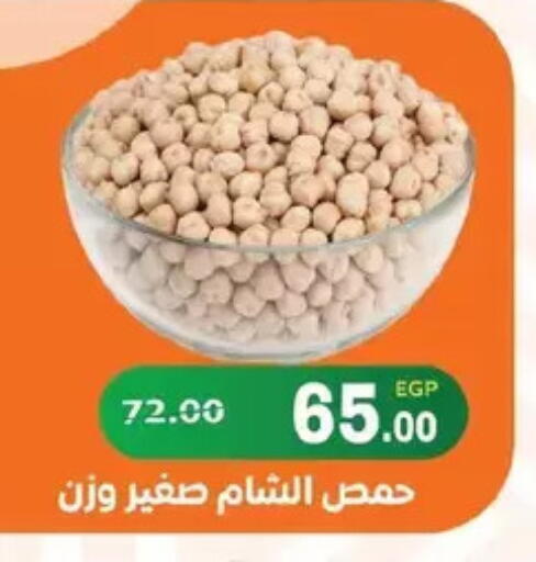 available at Zaher Dairy in Egypt - Cairo