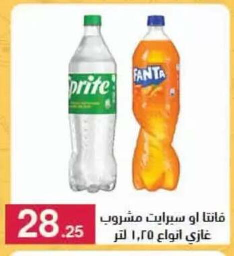 available at Mahmoud El Far in Egypt - Cairo