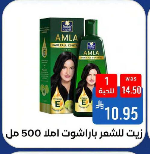 available at شبرا الطائف in مملكة العربية السعودية, السعودية, سعودية - مكة المكرمة
