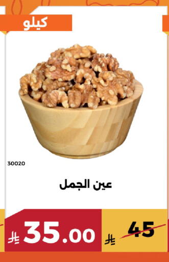 available at حدائق الفرات in مملكة العربية السعودية, السعودية, سعودية - مكة المكرمة
