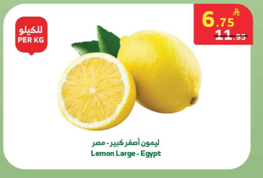 Lemon from Egypt available at Al Raya in KSA, Saudi Arabia, Saudi - Abha