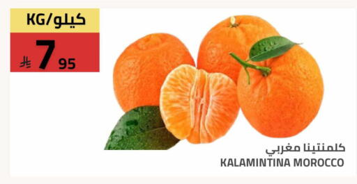 available at Astra Markets in KSA, Saudi Arabia, Saudi - Tabuk
