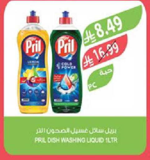 available at المزرعة in مملكة العربية السعودية, السعودية, سعودية - تبوك