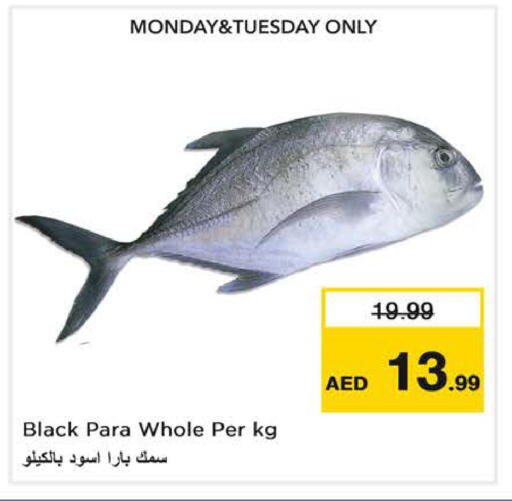 available at نستو هايبرماركت in الإمارات العربية المتحدة , الامارات - الشارقة / عجمان