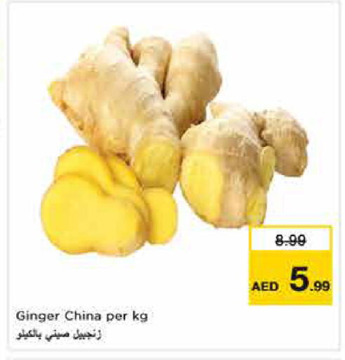 Ginger from China available at نستو هايبرماركت in الإمارات العربية المتحدة , الامارات - دبي