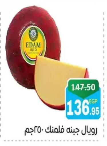 available at Zaher Dairy in Egypt - Cairo