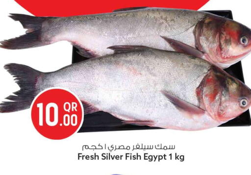 available at سفاري هايبر ماركت in قطر - الريان