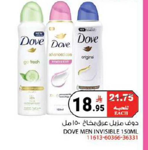 available at House Care in KSA, Saudi Arabia, Saudi - Mecca