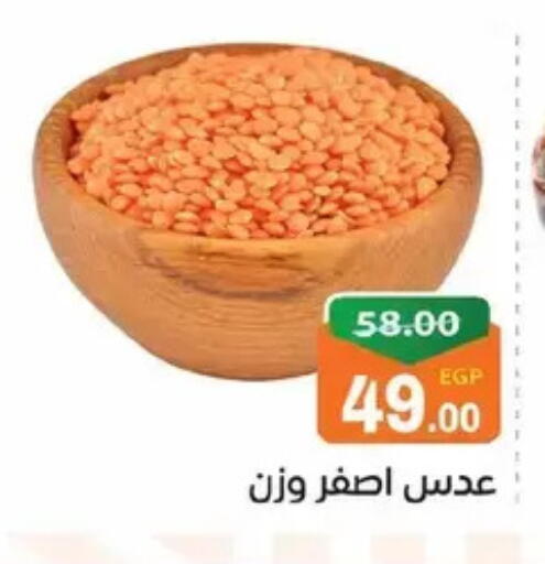 available at Zaher Dairy in Egypt - Cairo