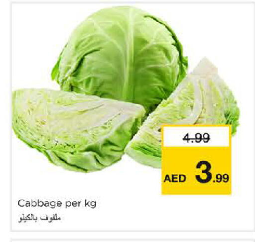 Cabbage available at نستو هايبرماركت in الإمارات العربية المتحدة , الامارات - الشارقة / عجمان