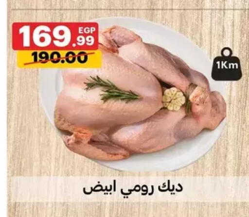 available at الحبيب ماركت in Egypt - القاهرة