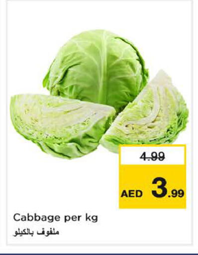 Cabbage available at نستو هايبرماركت in الإمارات العربية المتحدة , الامارات - الشارقة / عجمان