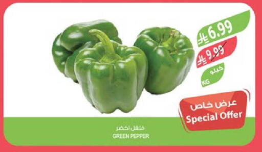 Pepper available at Farm  in KSA, Saudi Arabia, Saudi - Arar