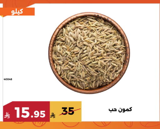 available at Forat Garden in KSA, Saudi Arabia, Saudi - Mecca