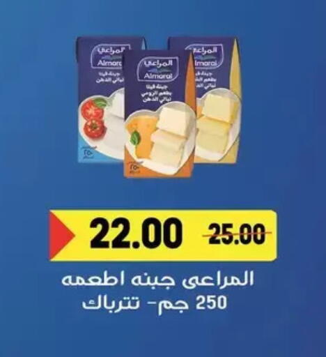 available at Zaher Dairy in Egypt - Cairo