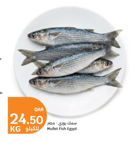 available at سيتي هايبرماركت in قطر - الريان