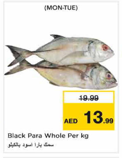 available at نستو هايبرماركت in الإمارات العربية المتحدة , الامارات - دبي