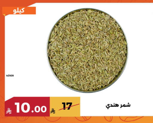available at Forat Garden in KSA, Saudi Arabia, Saudi - Mecca