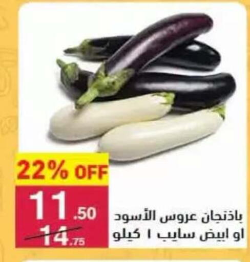 available at محمود الفار in Egypt - القاهرة