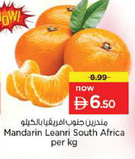 Mandarin from South Africa available at لاست تشانس in الإمارات العربية المتحدة , الامارات - ٱلْفُجَيْرَة‎