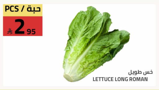Lettuce available at Astra Markets in KSA, Saudi Arabia, Saudi - Tabuk