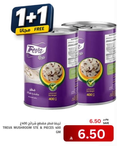 Mushroom available at Astra Markets in KSA, Saudi Arabia, Saudi - Tabuk