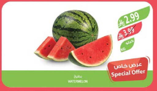 Watermelon available at المزرعة in مملكة العربية السعودية, السعودية, سعودية - تبوك