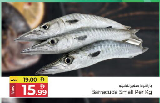 available at كنز هايبرماركت in الإمارات العربية المتحدة , الامارات - الشارقة / عجمان