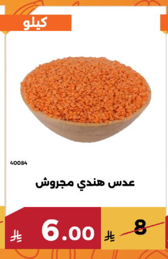 available at Forat Garden in KSA, Saudi Arabia, Saudi - Mecca