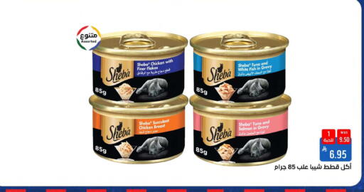 available at Shubra AlTaif in KSA, Saudi Arabia, Saudi - Mecca