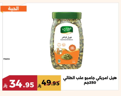 available at Forat Garden in KSA, Saudi Arabia, Saudi - Mecca
