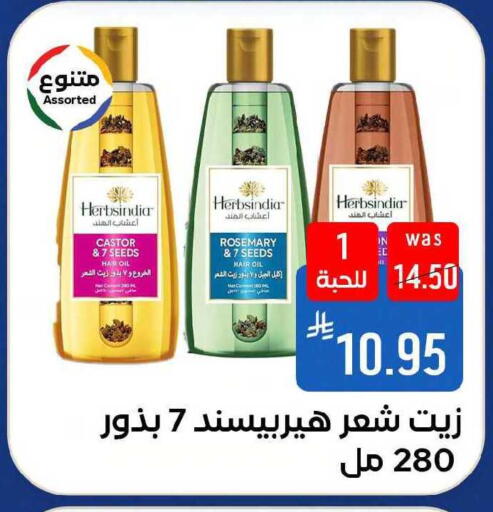 Rosemary available at شبرا الطائف in مملكة العربية السعودية, السعودية, سعودية - مكة المكرمة