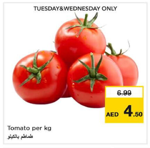 Tomato available at نستو هايبرماركت in الإمارات العربية المتحدة , الامارات - الشارقة / عجمان