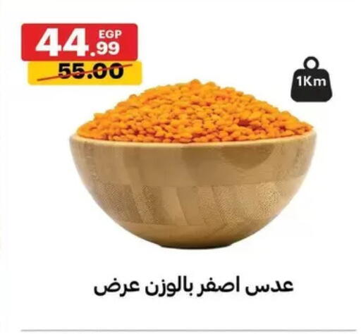 available at Al Habib Market in Egypt - Cairo