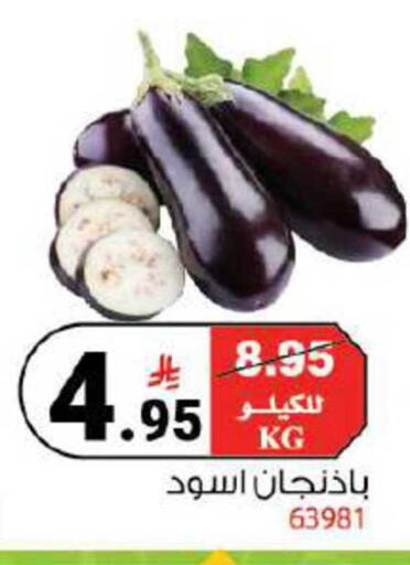 available at House Care in KSA, Saudi Arabia, Saudi - Mecca