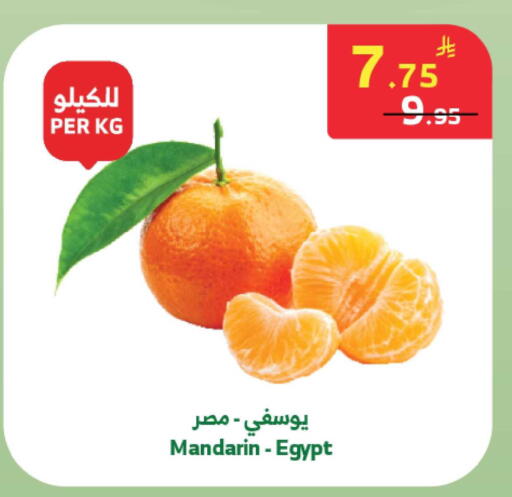 Mandarin from Egypt available at Al Raya in KSA, Saudi Arabia, Saudi - Abha