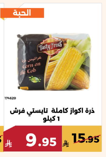available at حدائق الفرات in مملكة العربية السعودية, السعودية, سعودية - مكة المكرمة