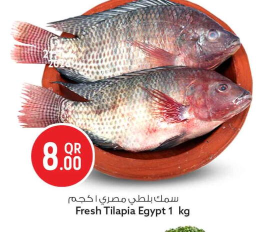 available at سفاري هايبر ماركت in قطر - الريان