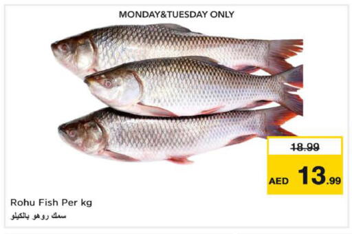 available at نستو هايبرماركت in الإمارات العربية المتحدة , الامارات - الشارقة / عجمان