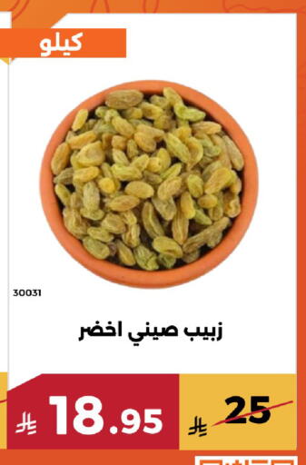 available at حدائق الفرات in مملكة العربية السعودية, السعودية, سعودية - مكة المكرمة