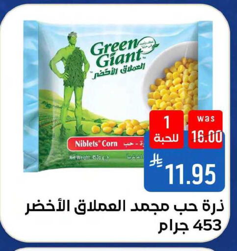 available at Shubra AlTaif in KSA, Saudi Arabia, Saudi - Mecca