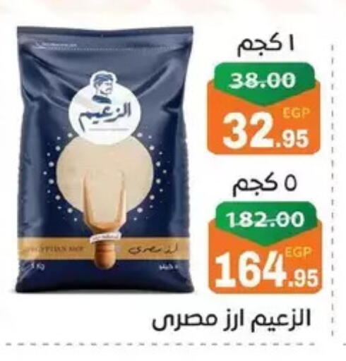 available at Zaher Dairy in Egypt - Cairo