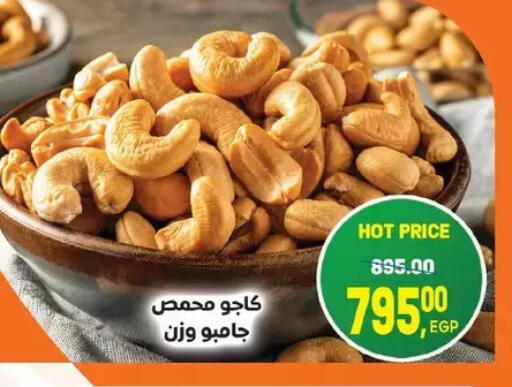 available at Zaher Dairy in Egypt - Cairo