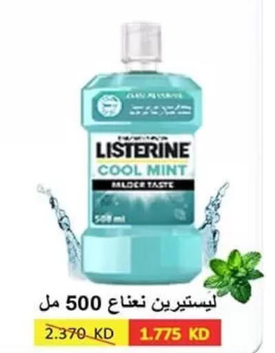Mint available at Al Rumaithya Co-Op  in Kuwait - Kuwait City