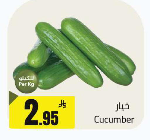Cucumber available at مخازن هايبرماركت in مملكة العربية السعودية, السعودية, سعودية - تبوك