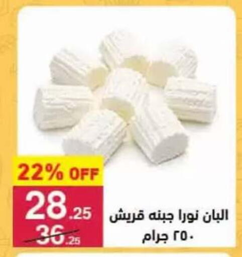 available at محمود الفار in Egypt - القاهرة