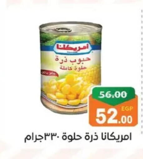 available at Zaher Dairy in Egypt - Cairo