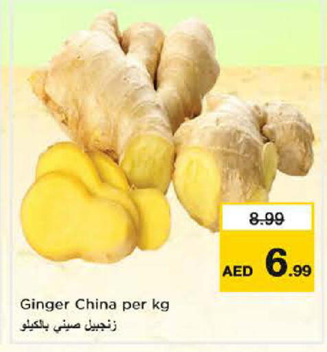 Ginger from China available at نستو هايبرماركت in الإمارات العربية المتحدة , الامارات - الشارقة / عجمان